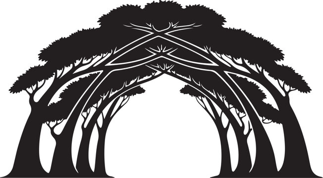 Silhouette of trees with intertwined branches in black and white