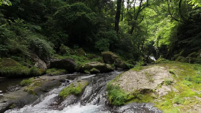 Kikuchi Gorge in Kumamoto, Japan