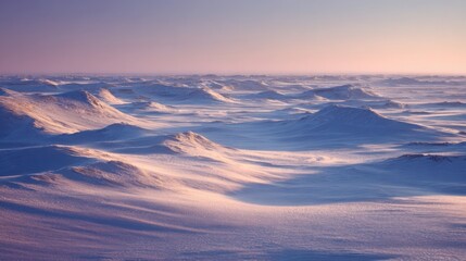 Frozen tundra plains at twilight, with delicate snowdrift patterns and long, soft shadows, minimalist Arctic landscape
