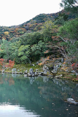 Obraz premium Natural landscape of Maple Autumn leaves changing color park at Tenryuji garden temple with river pond- Kyoto, Japan