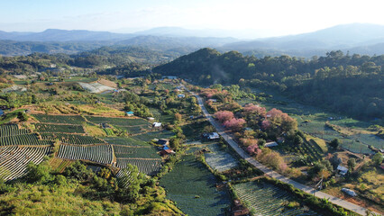 Fototapeta premium Aerial view of the rural village with agriculture fields and mountain road by drone