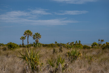 coastal beach