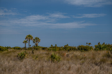 Jekyll Island, Georgia