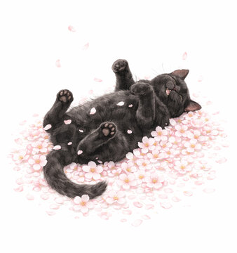 さくら猫」の写真素材 | 17,691件の無料イラスト画像 | Adobe Stock