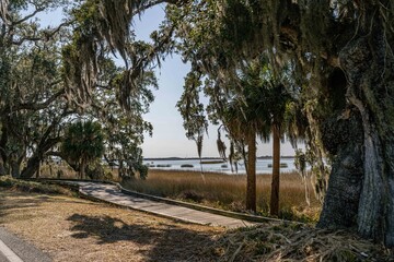 Fototapeta premium Jekyll Island, Georgia
