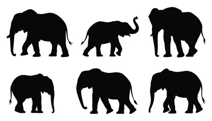 Elephant silhouettes set, wild animal shapes with walking and standing poses, safari wildlife symbols, African nature elements, large mammal outlines, simple black vector illustration isolated. © MSTMOMENA