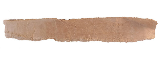 Realistic Torn Paper Banner for Poster and Web Template ,Torn Paper Edge Texture Isolated on Transparent Background,