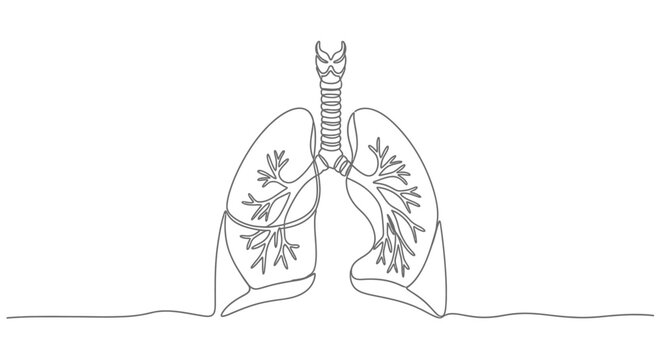 Continuous line illustration of human lungs and trachea