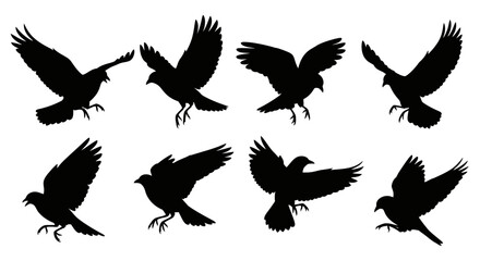 Obraz premium A collection of black silhouettes depicting crows in various flight poses showcasing their dynamic wing movements high quality professional