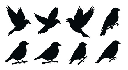 Obraz premium A collection of black silhouettes depicting birds in various flight and perching poses showcasing avian movement high quality professional