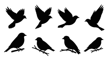 Obraz premium A collection of black silhouettes depicts birds in various flight and perched positions showcasing avian forms high quality professional
