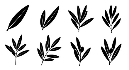Fototapeta premium A collection of black silhouette leaf and branch arrangements showcasing varying leaf density and patterns high quality professional detailed