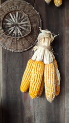 Bunch of dried corn cobs.