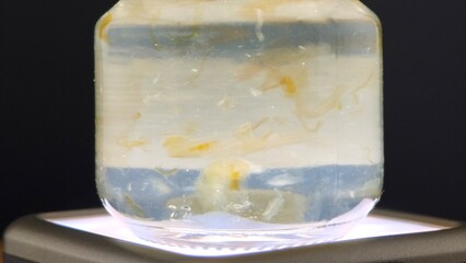 Bird Nest Soup, Asian Cuisine for Health.