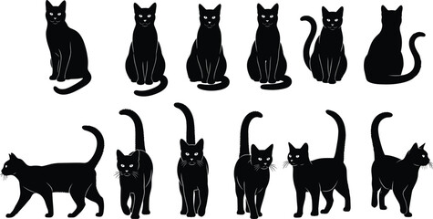 Black cat silhouette bundle, domestic feline poses collection, vector illustrations isolated on white background for creative design projects © Sakib World