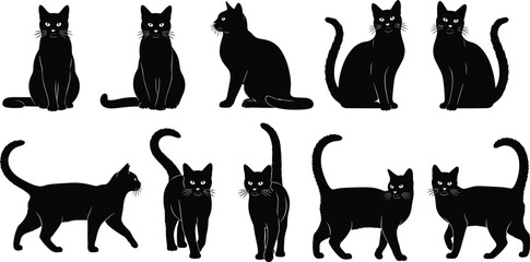 Black cat silhouettes collection, domestic feline poses set, vector illustrations isolated on white background for design projectsBlack cat silhouettes collection,  © Sakib World