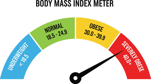 Body Mass Index BMI Meter Scale Vector with Colorful Gauge for Underweight Normal Obese and Severely Obese Health Measurement