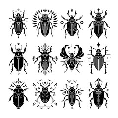 Fototapeta premium Set of 12 black beetle icons with decorative geometric elements isolated on Transparent Background