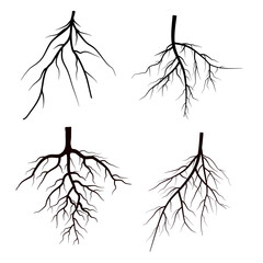 root silhouette collection