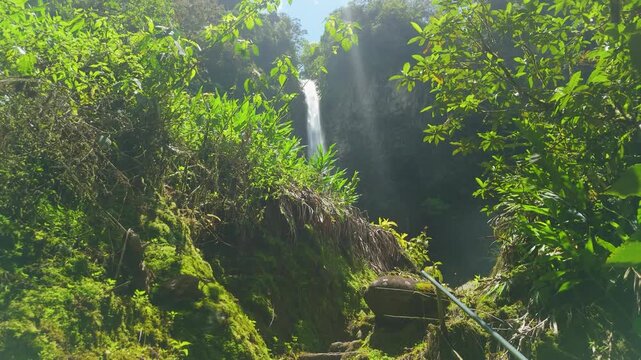 Drone movement tilting from stone forest path up to reveal majestic Cascada El Rocio Machay waterfall plunging into tropical green canyon near Banos Ecuador