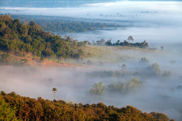 misty morning in the mountains