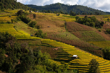 landscape rice terraces in the moutain and blue sky with cloud