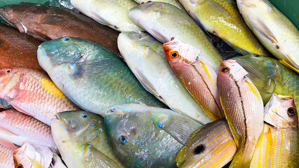 市場に並んだ新鮮でカラフルな沖縄の魚