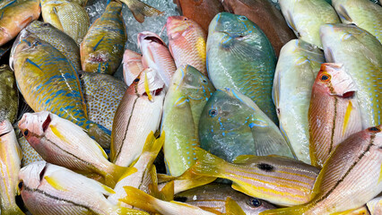 市場に並んだ新鮮でカラフルな沖縄の魚