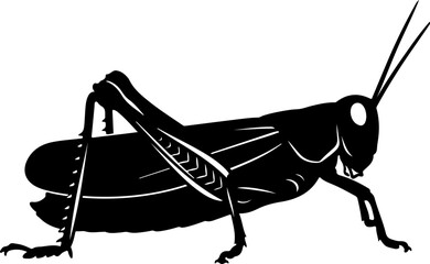 Grasshopper silhouette vector illustration