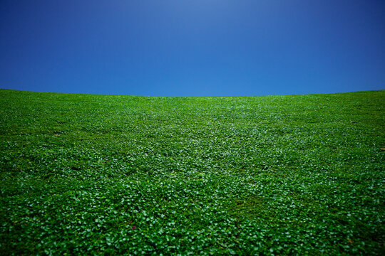 Summer grassy countryside. Peaceful grass hill. Grass pattern. Spring meadow. Sunny greenery field. Idyllic pasture. Green field texture. Meadow under sky. Green grass wallpaper. Grass background.