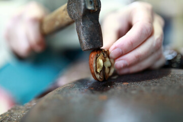 Woman breaking open nut with hammer
