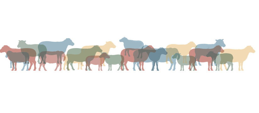 Row of colorful sheep silhouettes in a minimalist vector style. Overlapping animal icons for agriculture and farming concepts. Horizontal graphic of a flock of sheep on white background