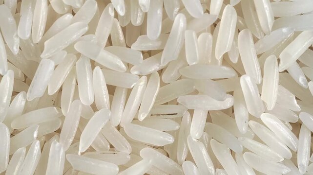 Close-up of a white rice grain.