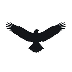 Obraz premium Black vector silhouette illustration of a wild eagle in flight with open wings against a white background for nature logo design