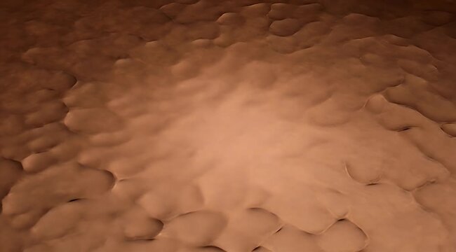 Abstract landscape of textured bronze and brown undulating surface in a pattern