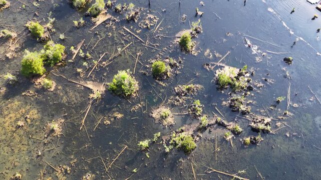 Aerial View of People Kayaking Through Tropical Swamp in Krabi Thailand
