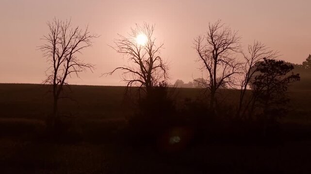 Leafless trees silhouetted by the sun in front of an expansive field and morning fog. Rising Cinematic Drone footage.