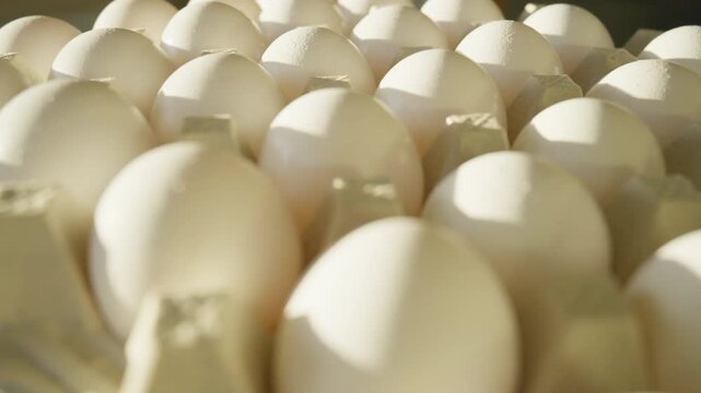 large grade A white eggs in a carton