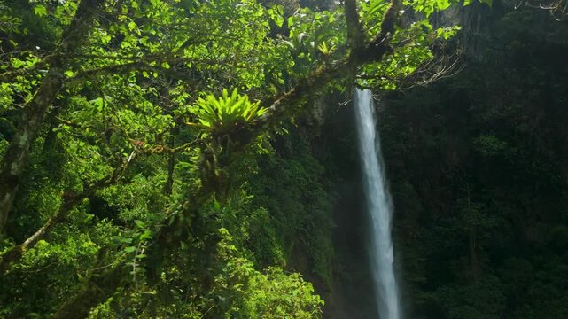 Aerial drone dolly reveal of Cascada El Roc&iacute;o waterfall in Machay Ecuador, powerful cascade flowing through lush tropical rainforest, dense green foliage and moss-covered branches framing the view