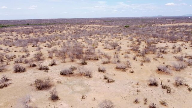 Drone footage of the Caatinga region in Petrolina, Pernambuco, Brazil.