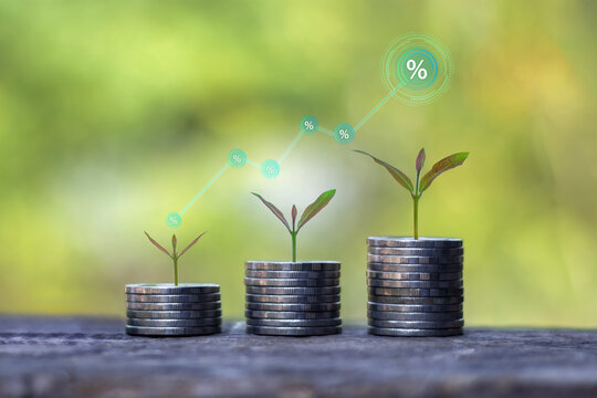 Sustainable financial growth concept with green plants growing on coin stacks, featuring rising percentage and dollar icons graph for investment success and long-term wealth management.