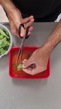 Professional pizzeria sauce prep combining San Marzano tomatoes with hand torn basil drizzled olive oil and seasoning top view vertical video