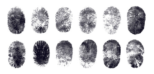Collection of fingerprint marks, biometric identification concept, isolated on transparent cutout background
