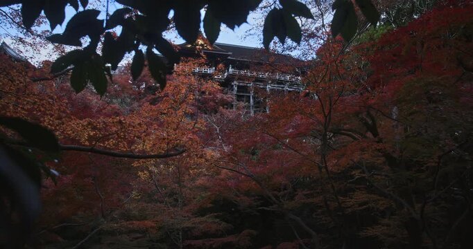 Slow motion low shot on autumn trees and beautiful 8th century Japanese temple on hill