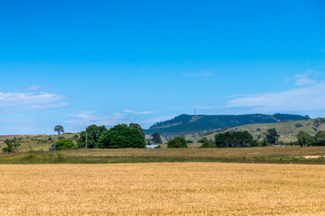 Summer Countryside Under a Clear Blue Morning Sky