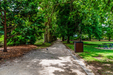 A Summer's day at Cook Park