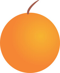 Orange fruit art icon 