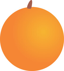 Orange fruit art icon 