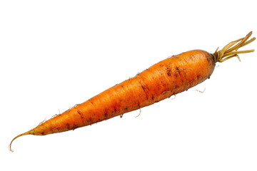 A vibrant orange carrot, with dark speckles and dried, feathery greens at the top, isolated on black