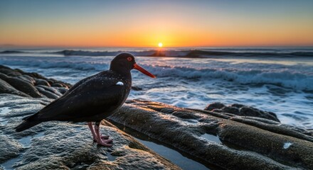 A bird stands on coastal rocks watching a sunrise over the ocean. Waves crash at dawn
